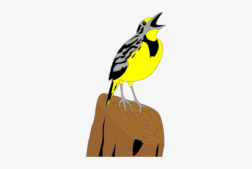 Meadowlark Cartoon, transparent png #1705694