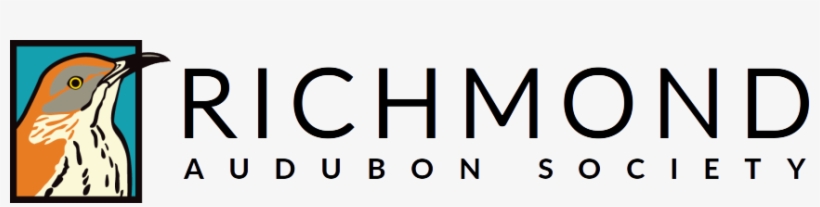 Posted In Thrasher - Graphics, transparent png #1706205