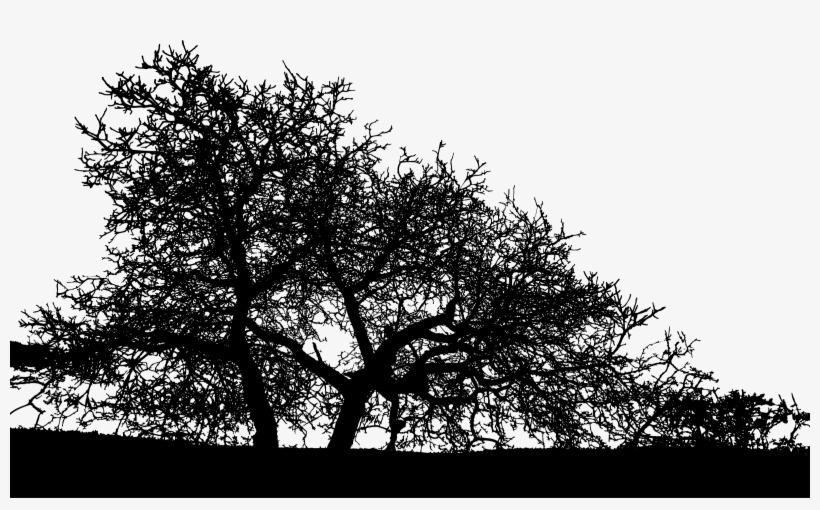 Trees Landscape Silhouette Png Free Download - Landscape Tree Silhouette Png, transparent png #1707130