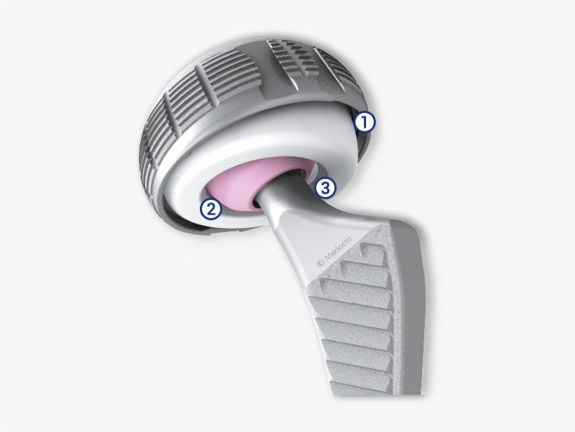 Articulation Liner/shell - Dual Mobility Pfanne, transparent png #1709013