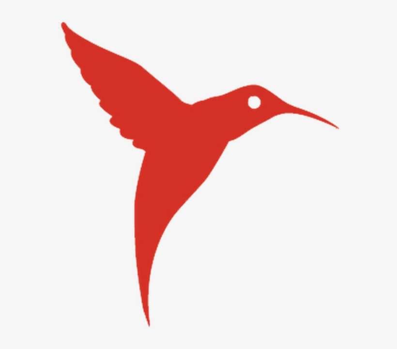 Jpg Free Library Hummingbird Clipart Flower Tattoo - Ushuaia Ibiza Logo Bird, transparent png #1709619