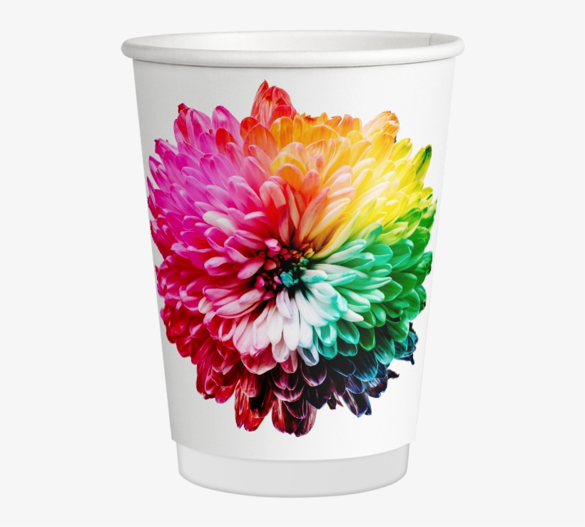 200ml/8oz Double Walled Full Color Printed - Chakra Project [book], transparent png #1709665