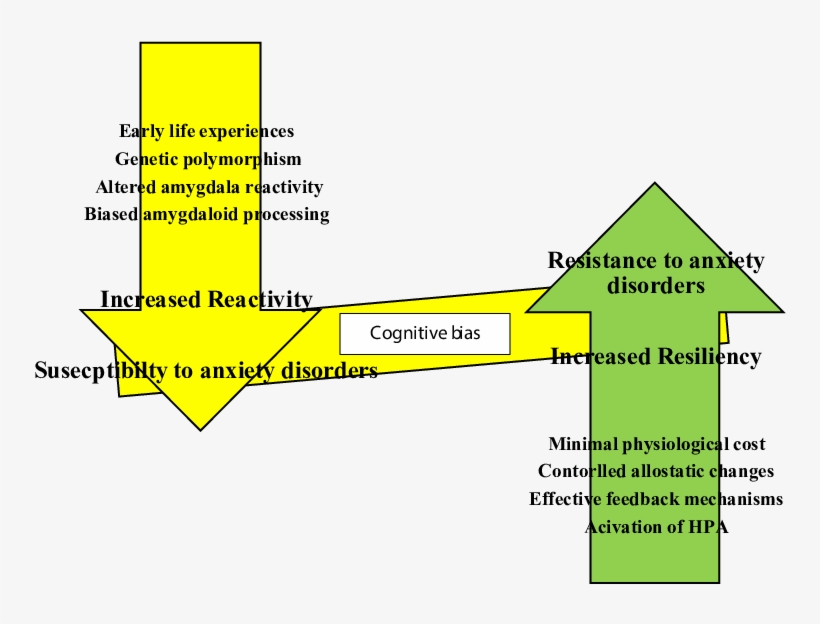 A Conceptual Overview Of Effects Of Reactivity And - Diagram, transparent png #1710222