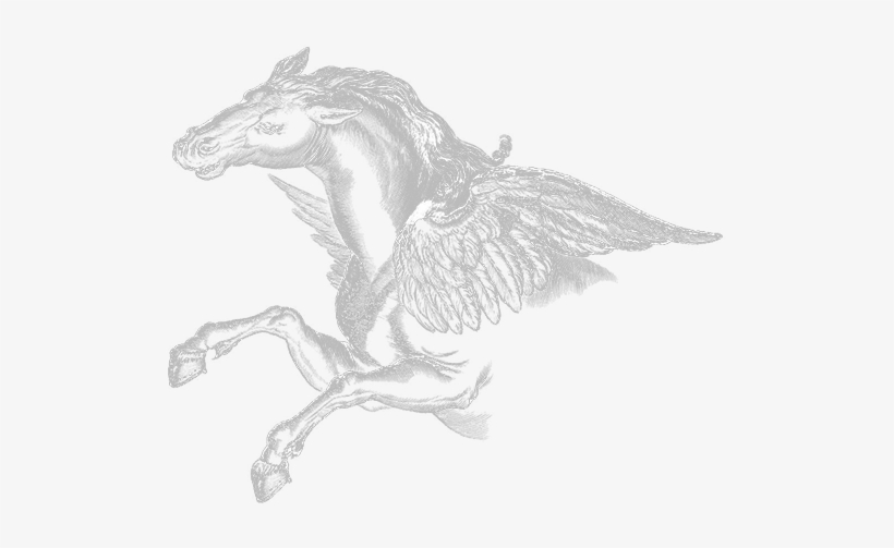 Perseus Drawing Pegasus Banner Transparent Stock - Sketch, transparent png #1710404