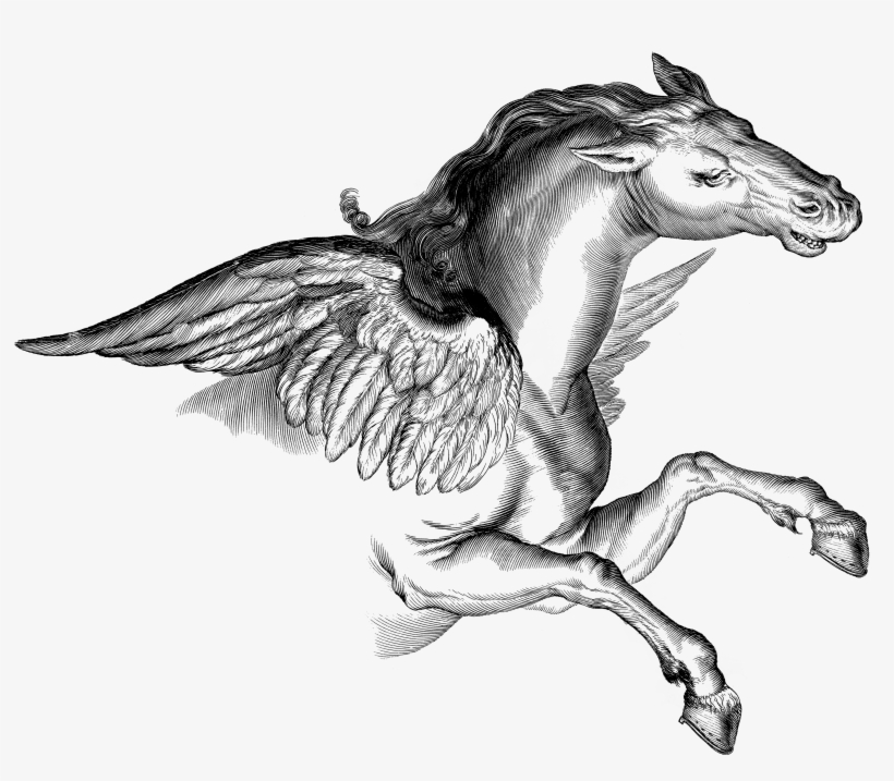 Web Version Full Resolution (png - Pegasus Png, transparent png #1710581