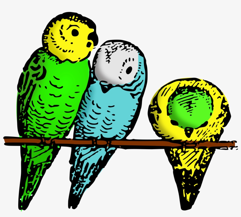 Parakeet Clipart Transparent - Parakeet Clipart, transparent png #1710614