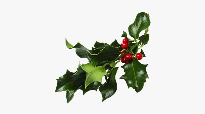 When Christianity Became Widespread In Europe After - Mistletoe Png, transparent png #1710637