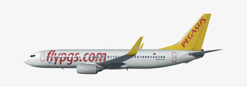 Pegasus Airlines Png - Pegasus Airline Plane Png, transparent png #1710815