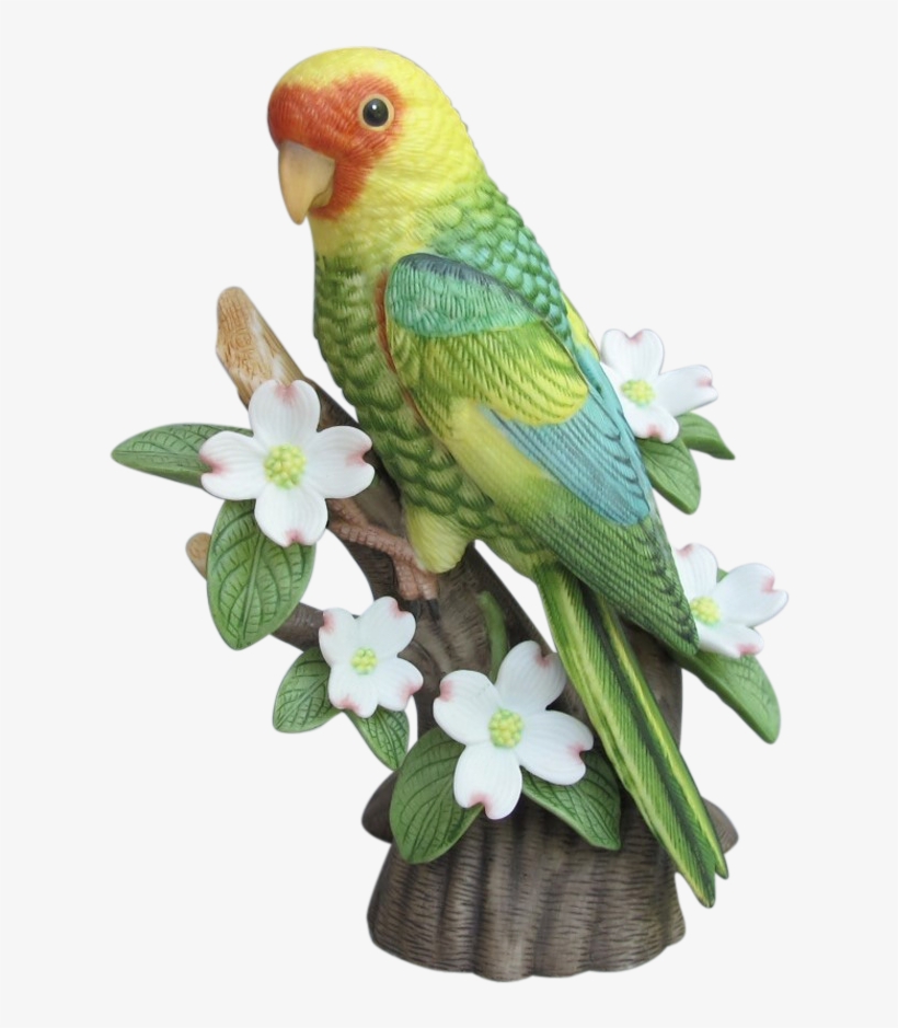 Budgie Drawing Carolina Parakeet - Lenox Figurine, transparent png #1710840
