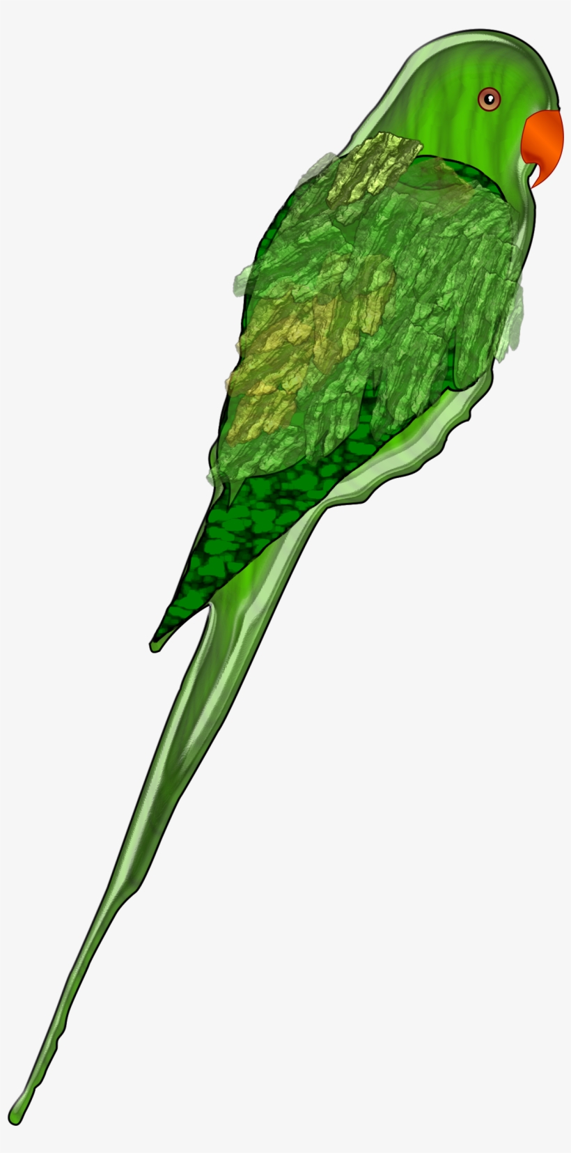 Parrot Png, transparent png #1710887
