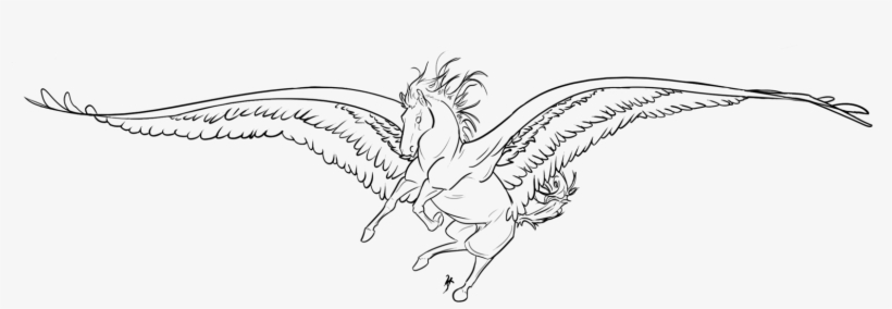 Png Library Download Albatross Drawing Feather - Drawing, transparent png #1711226