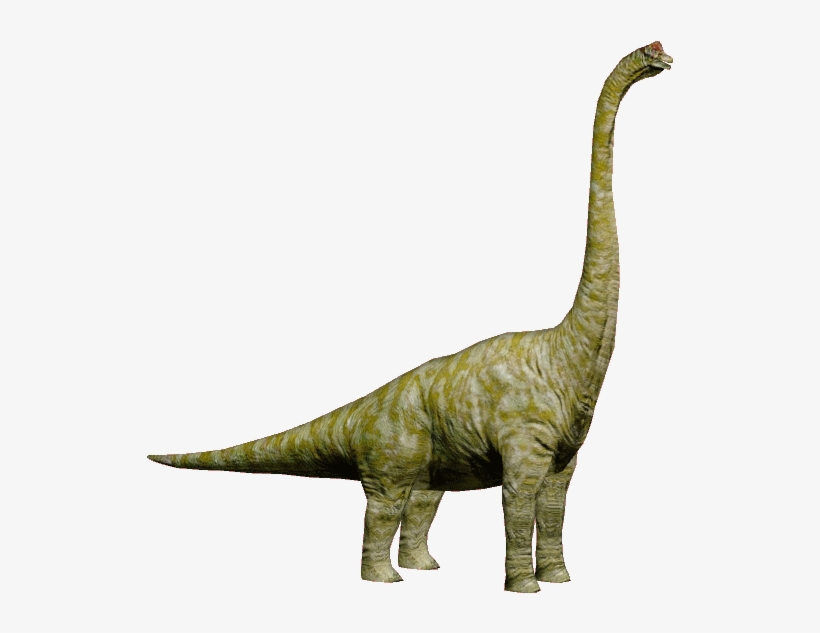 Brachiosaurus - Brachiosaurus Jurassic Park Dinosaurs, transparent png #1711518