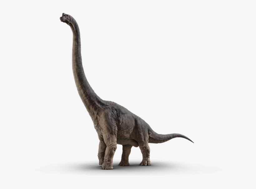 Brachiosaurus - Jurassic World Fallen Kingdom Dinosaurs, transparent png #1711540