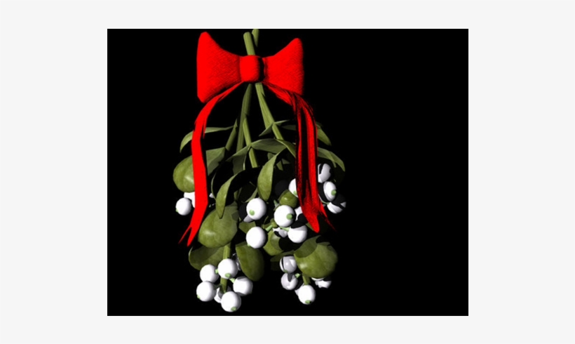 They De Custom Of Kissing Under The Mistletoe - Poison To Purge Melancholy By Elena Santangelo 9781518803550, transparent png #1711570