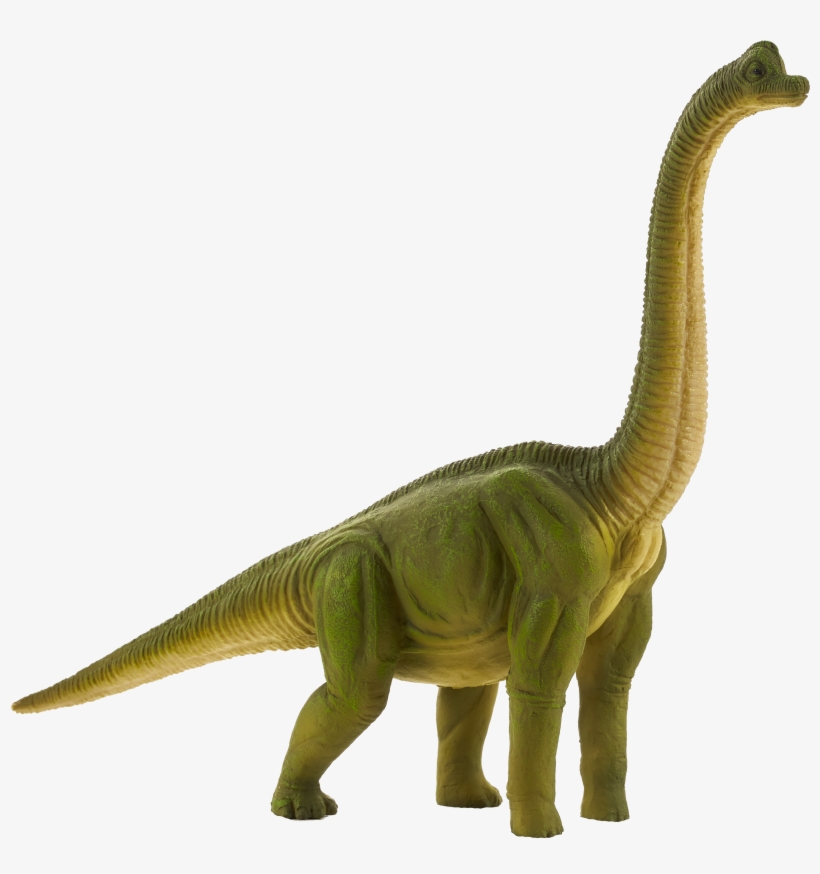 Brachiosaurus - Brachiosaurus Toy, transparent png #1711653