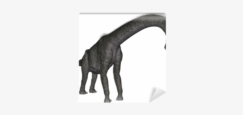 Brachiosaurus, transparent png #1711903