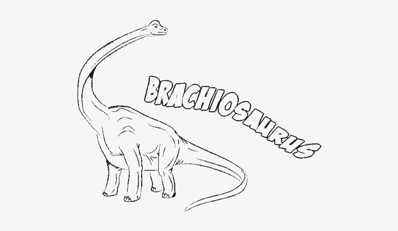 B Is For Brachiosaurus Coloring Page - Brachiosaurus Colouring Page, transparent png #1711939