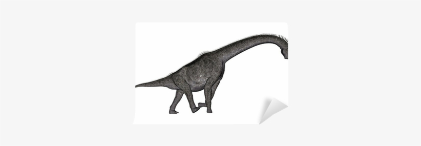 Brachiosaurus, transparent png #1711963