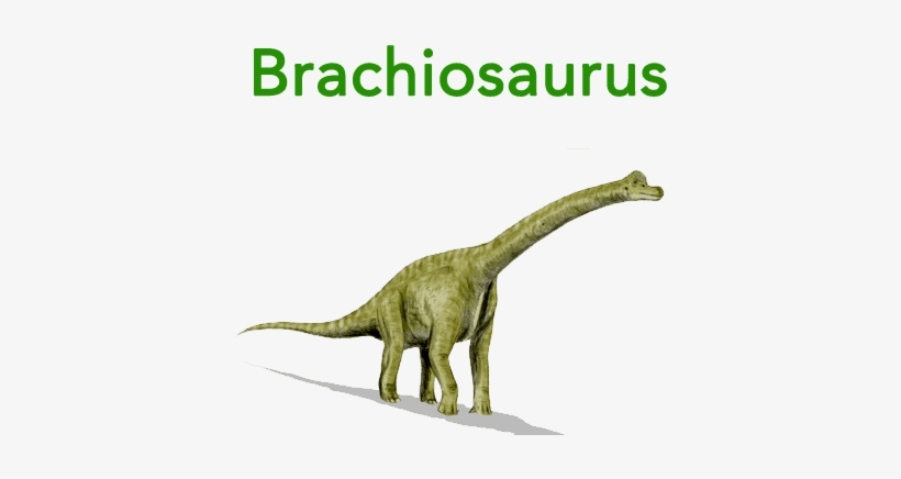 Baby Mozart Abc Flashcard For Children - Dinosaurs Lived In The Triassic Period, transparent png #1712010