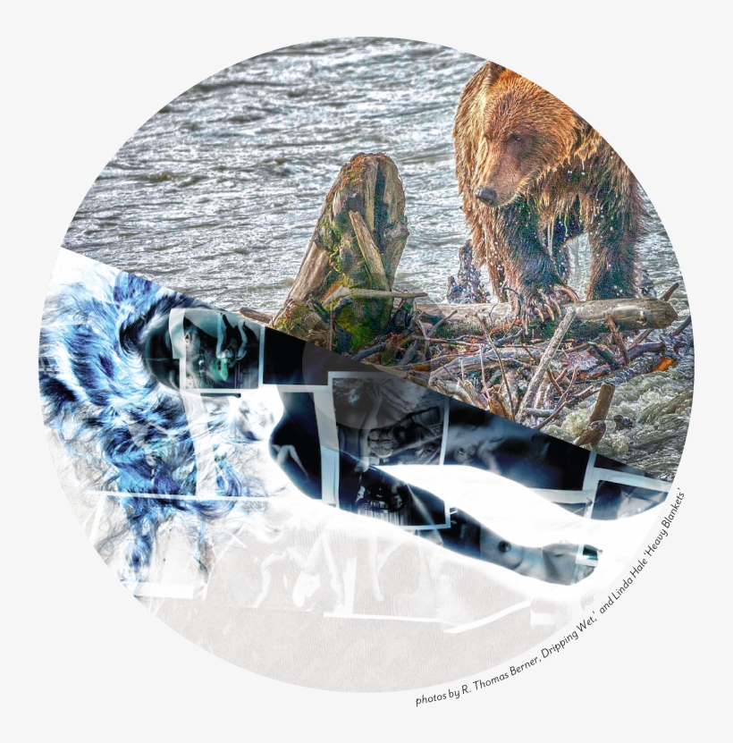 Art At The End Of The Lens Photography Show - Wakeboarding, transparent png #1712128