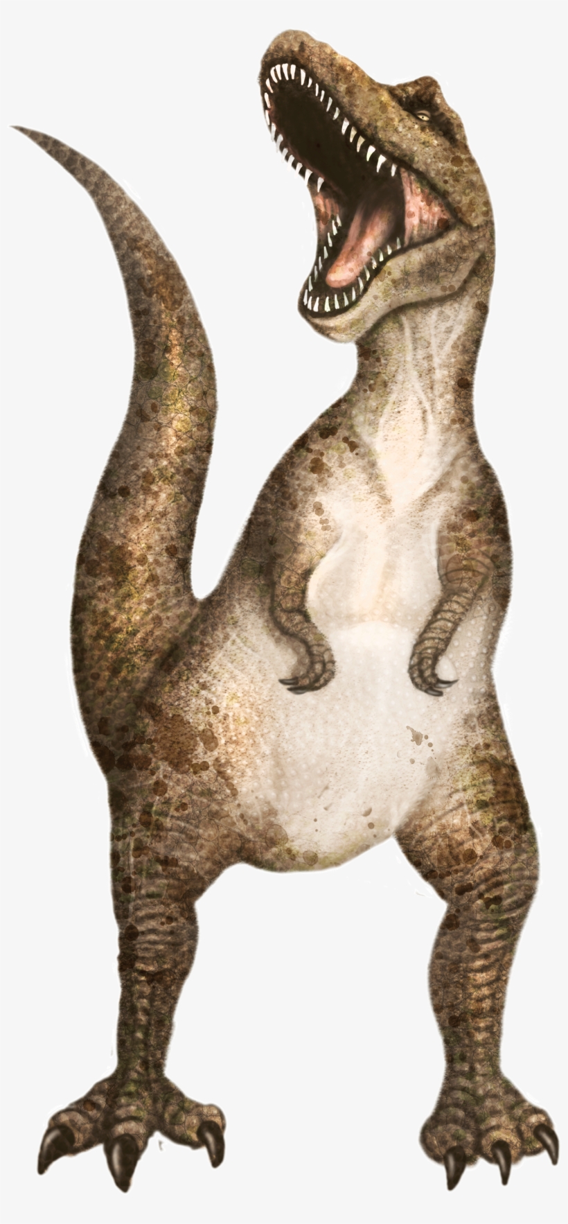 Tyrannosaurus Euclidean Transprent Png Free Download, transparent png #1712224