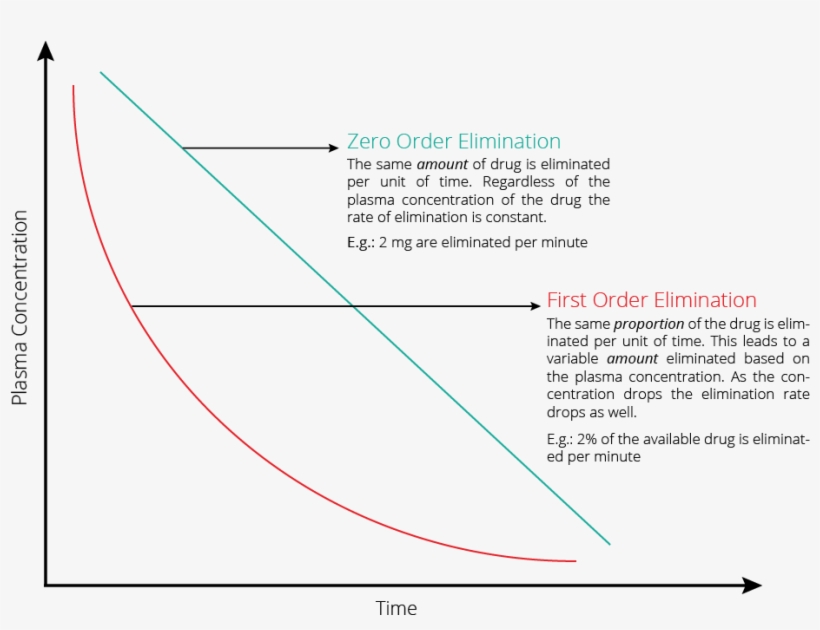 Explanation, Drug Elimination - Diagram, transparent png #1712269