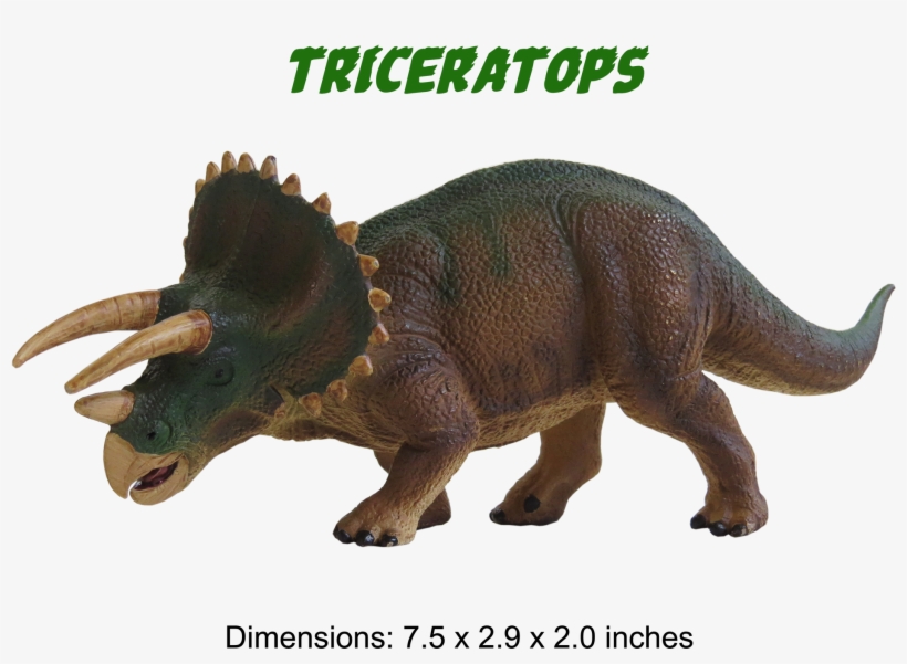 Ankylosaurus Model Triceratops Model - Triceratops, transparent png #1712310