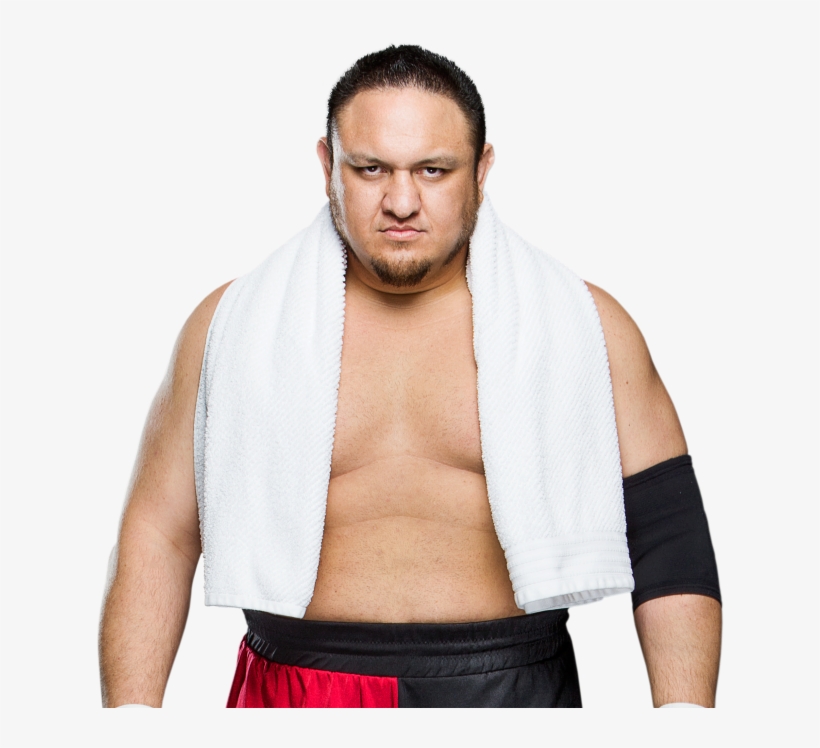 Which Is What Daniel Bryan Wanted All Along, Right - Wrestlemania 33 Finn Balor Vs Samoa Joe, transparent png #1712699