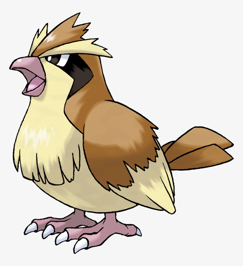 Pidgey Png, transparent png #1714466