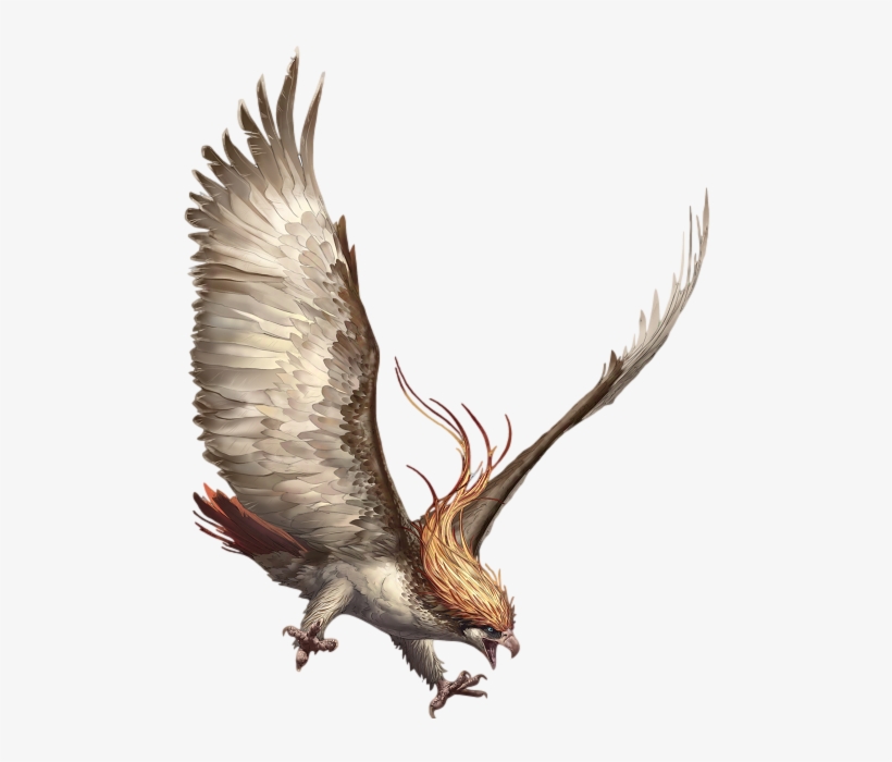 Pidgeot Arvalis - Arvalis Pokemon Pigiot, transparent png #1714490