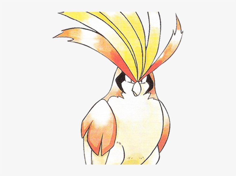 Photo - Pokédex, transparent png #1714848