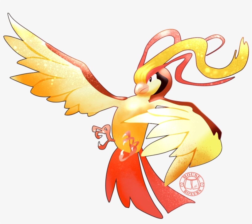 018 Pidgeot - Macaw, transparent png #1715007