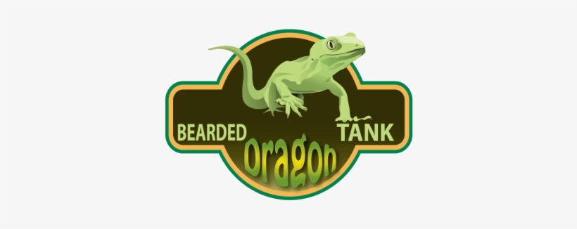 Bearded Dragons, transparent png #1715363