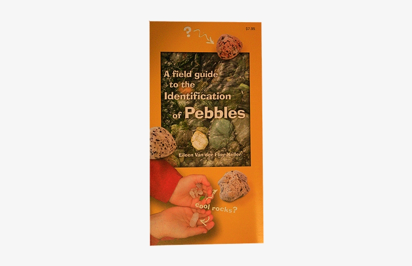 A Field Guide To The Identification Of Pebbles - Field Guide To The Identification Of Pebbles, transparent png #1715395
