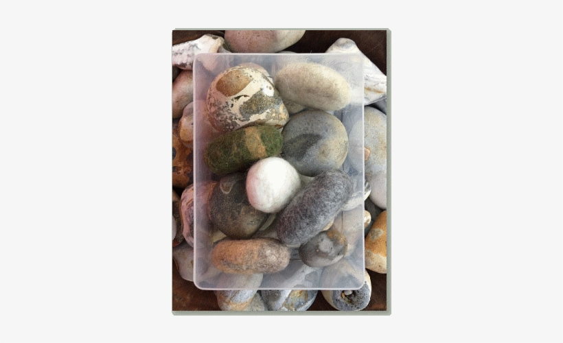 Pebble, transparent png #1715467