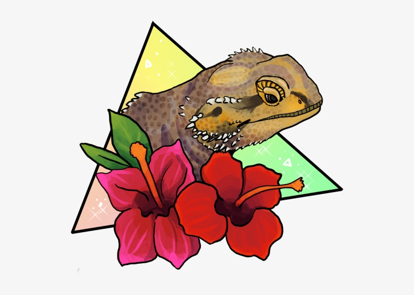 Magical Bearded Dragon - Bearded Dragon And Sloth, transparent png #1715545