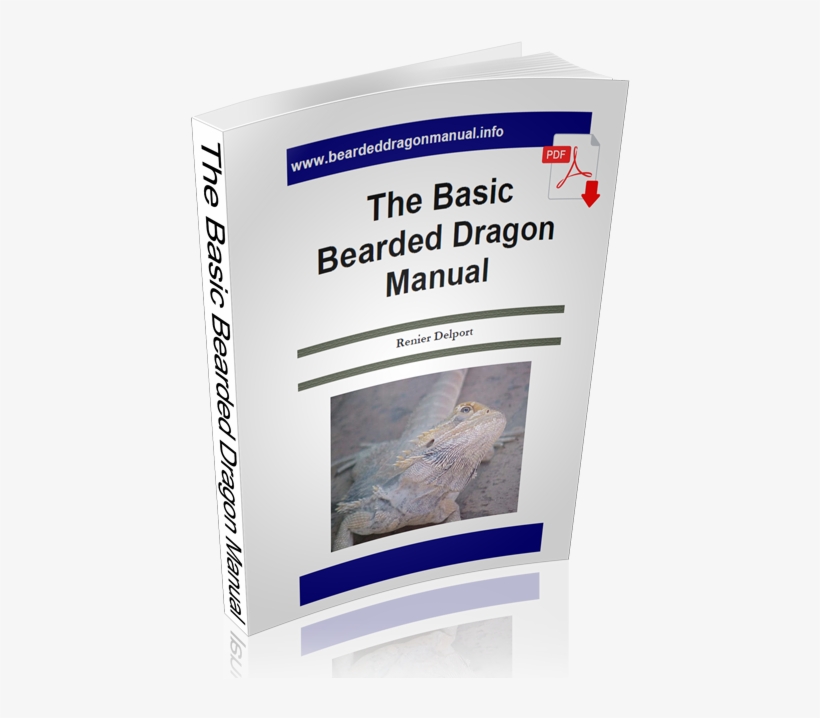 Basic Beaded Dragon Manual - Whale Shark, transparent png #1715776