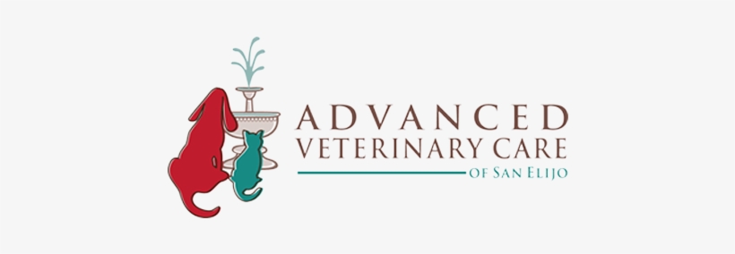 Considerations Before Getting A Bearded Dragon - Advanced Veterinary Care Of San Elijo, transparent png #1715830