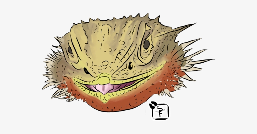 Bearded Dragons, transparent png #1715861
