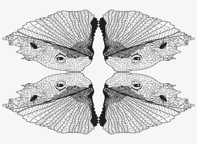 Just A Tad Of Bearded Dragon-desert King Giftwrap - Brush-footed Butterfly, transparent png #1716215