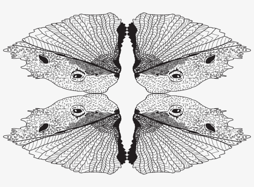 Just A Tad Of Bearded Dragon-desert King Giftwrap - Brush-footed Butterfly, transparent png #1716215