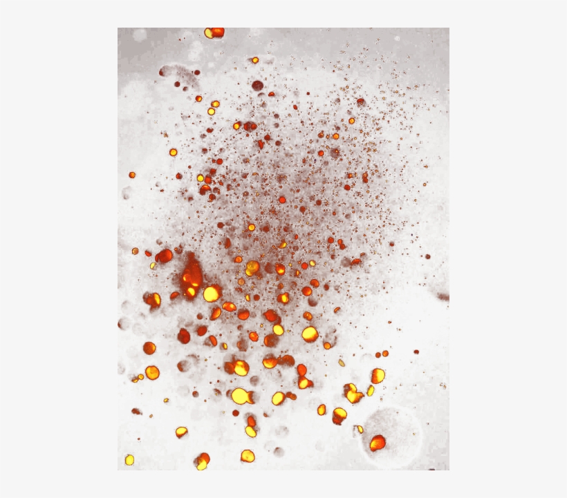 Free Png Light Red Png Images Transparent - Portable Network Graphics, transparent png #1716260