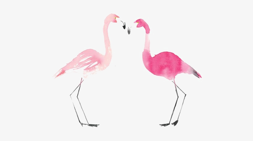 Flamingo Bird Painting Transprent Banner Royalty Free - Flamingos, transparent png #1716539