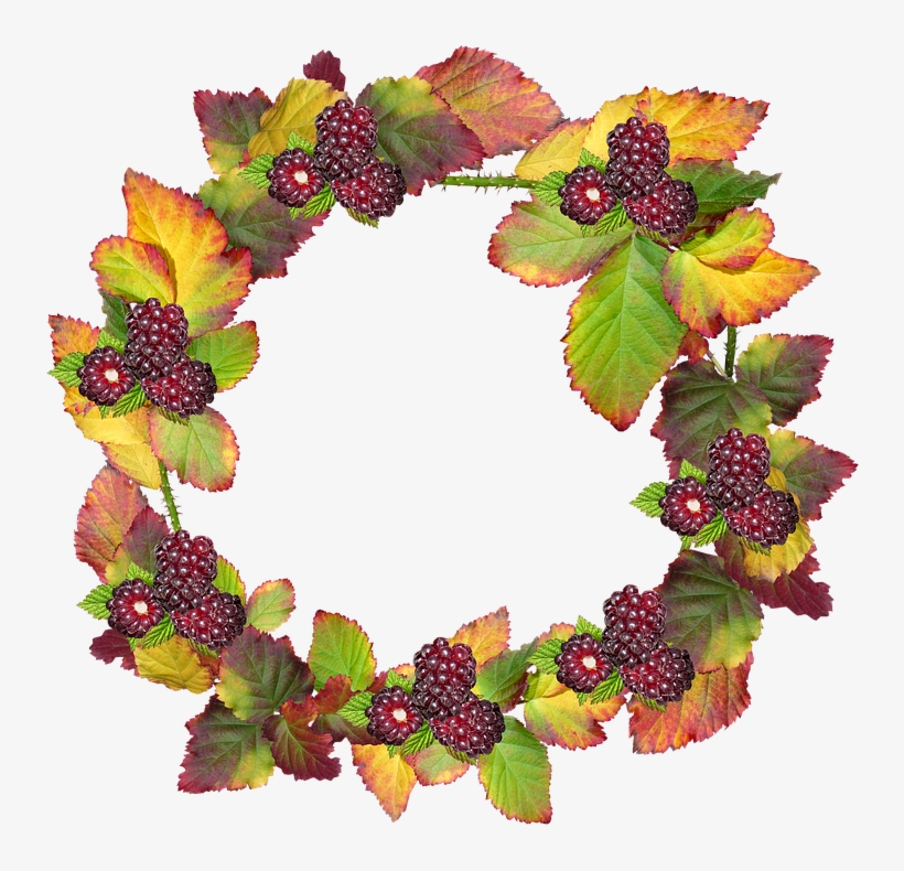 Leaves, Wreath, Frame, Border Autumn, Fall, Berries - Autumn Fall Png, transparent png #1717151
