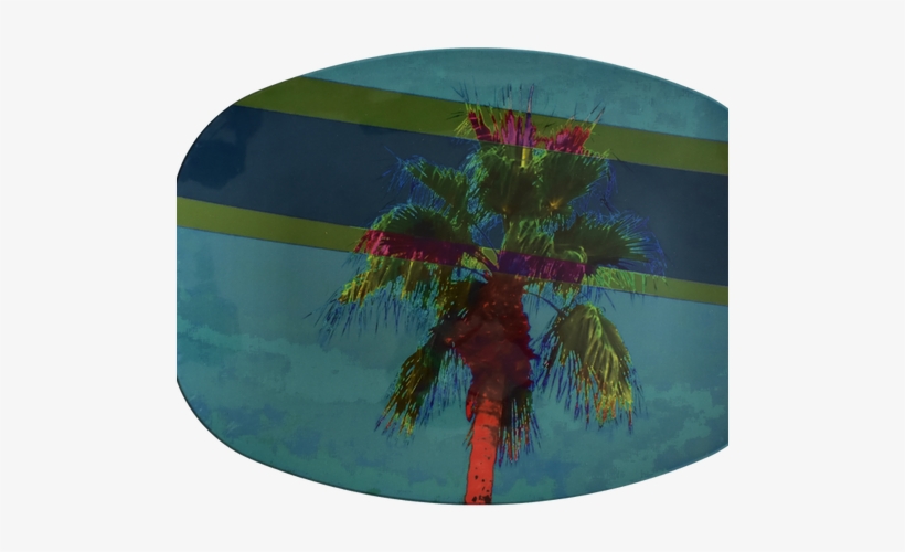 Palm Springs, transparent png #1717200