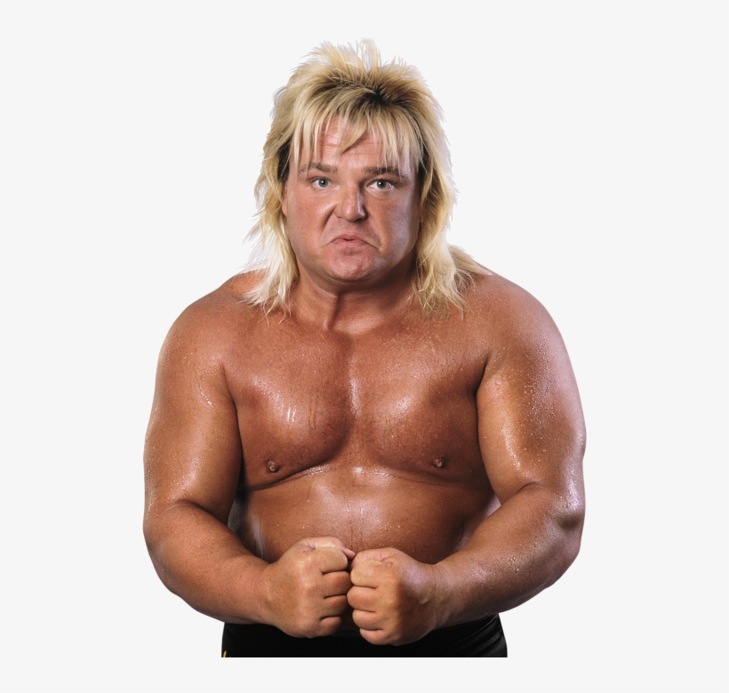 Greg Valentine Pro - Wwf Greg Valentine Png, transparent png #1717268
