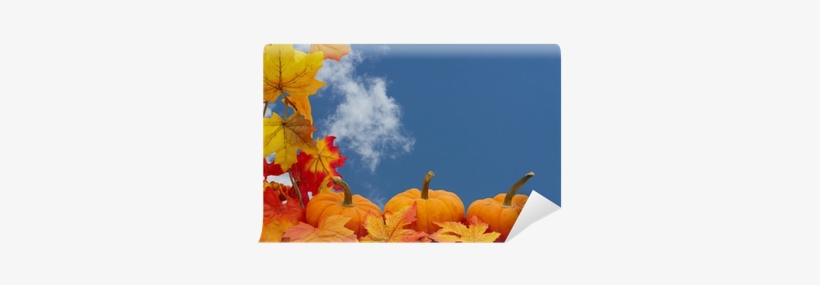 New Orleans In October, transparent png #1717524