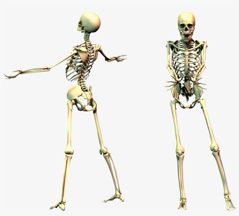 Halloween - Spooky Png, transparent png #1717706