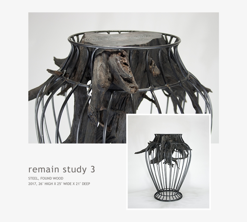 Remain Study 3 - Vase, transparent png #1717820