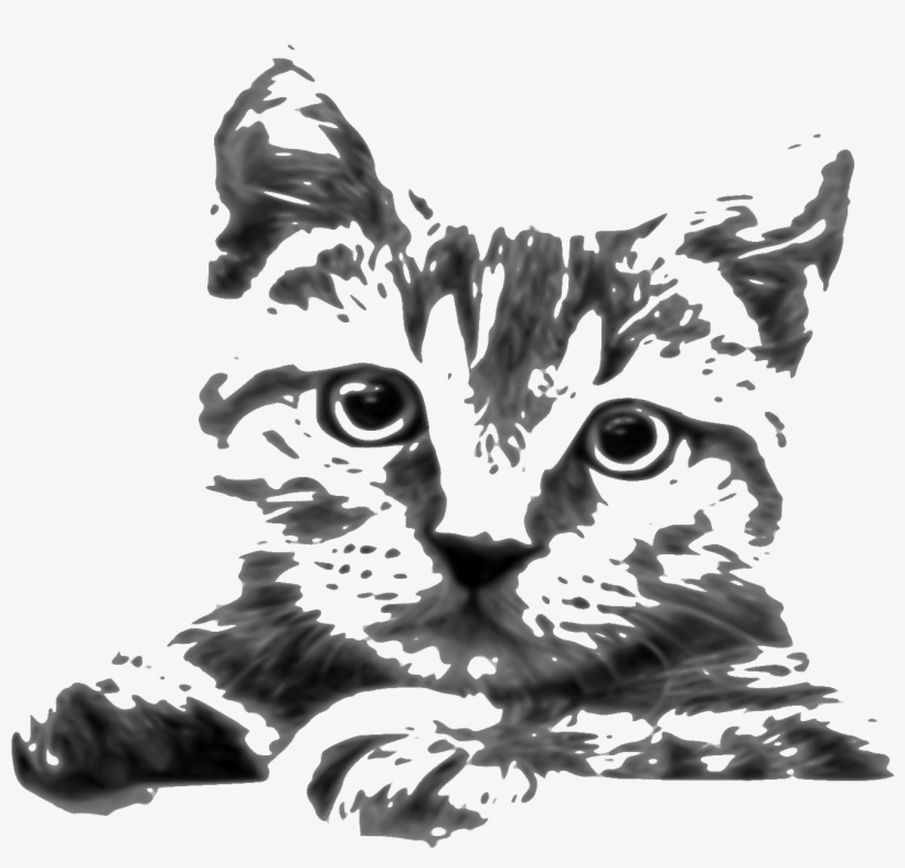 This Free Icons Png Design Of Cat Drawing, transparent png #1717962